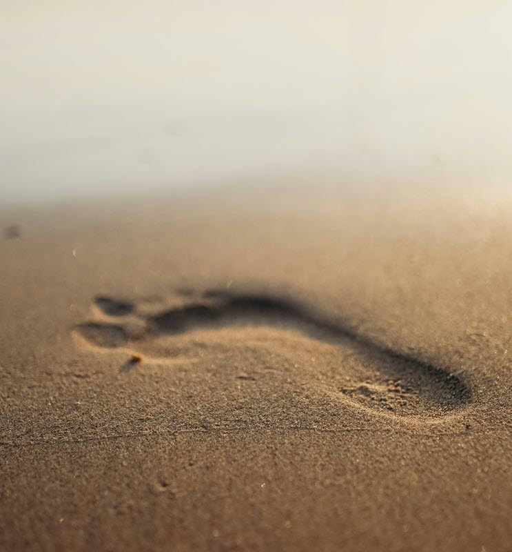 pexels-cottonbro-4428280 FORGRESS Fortschritt